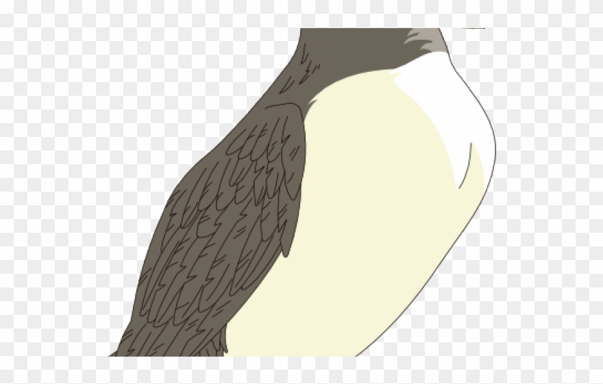 Puffin Clipart Clip Art - Bird - Png Download