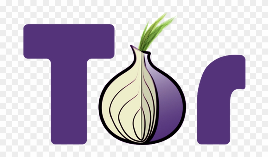 Experimental Voip And Messaging Via Tor Hidden Services - Tor Onion Clipart