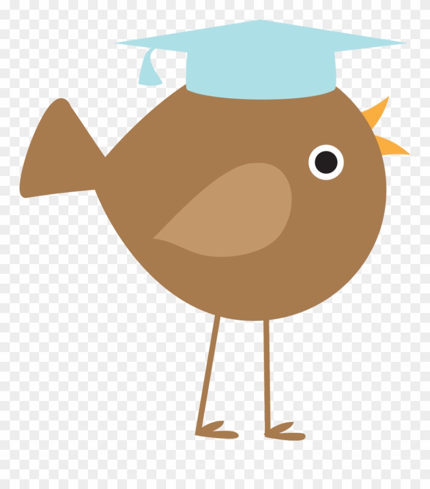 Digital Stamps, Clip Art, Preschool Activities, Box, - Pajarito Graduado - Png Download