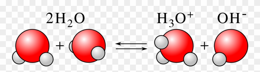 Anaerobicphaelosophere Colipw800 1pw800 2220px Louis - Self Ionization Of Water Clipart