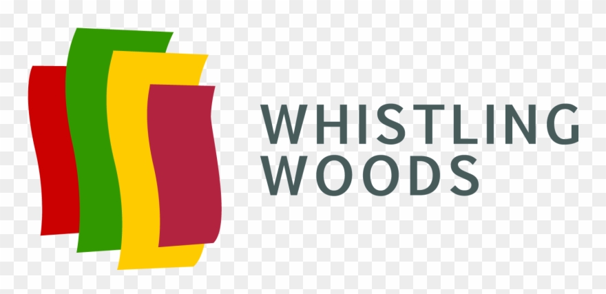 Overview - Clip Art - Png Download