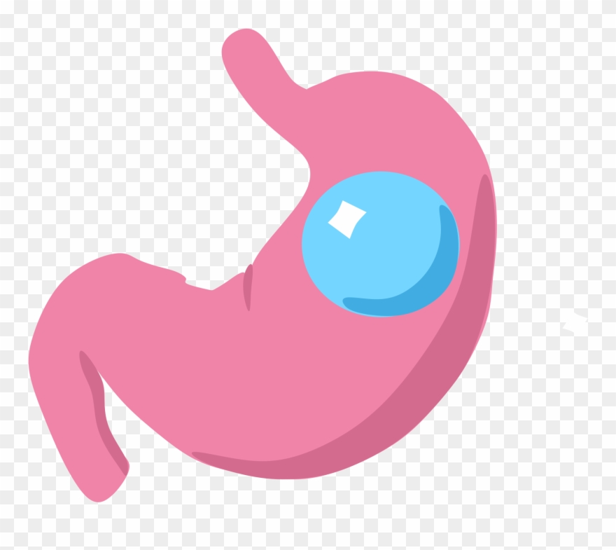 Gastric Balloon Wikipedia Iconsvg - Transparent Stomach Png Clipart