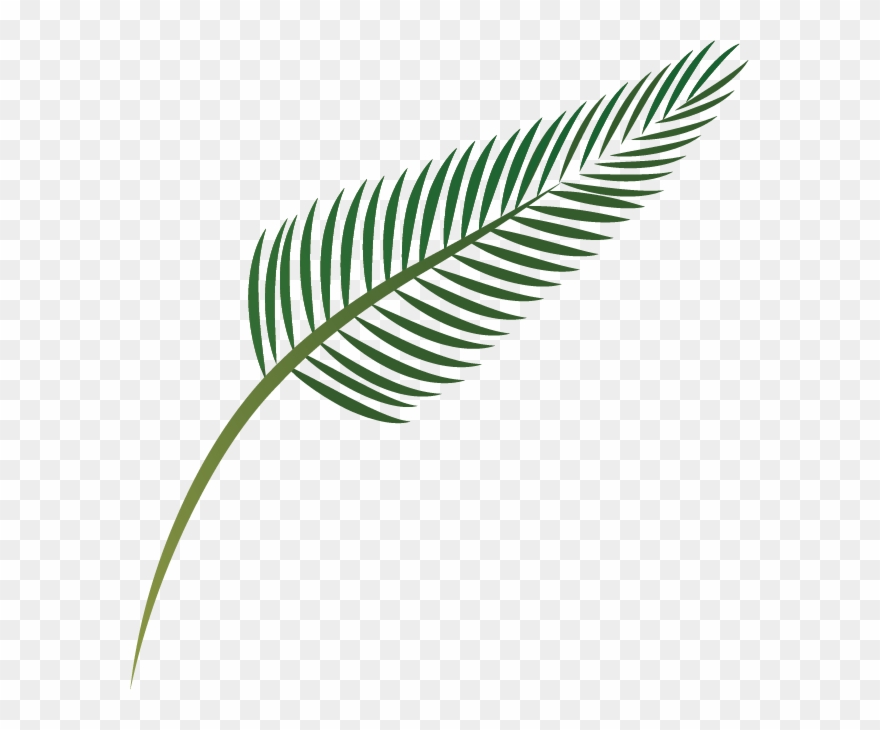 Bay Mau Cooking School - Palm Trees Clipart