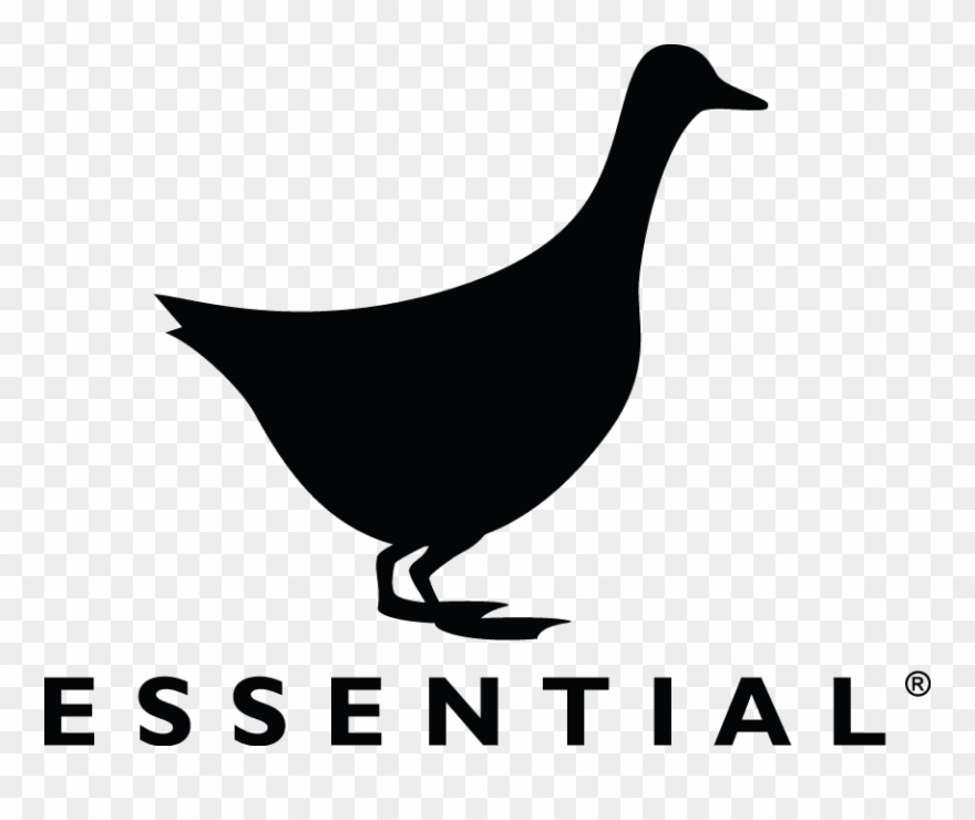 Essential Ingredient Cooking Classes Clipart