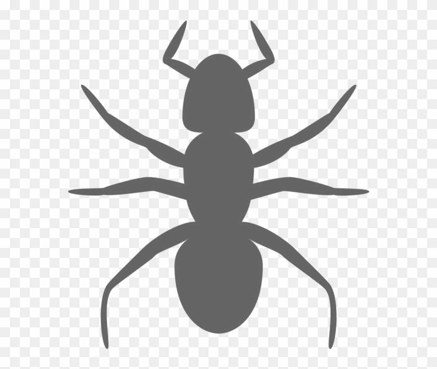 Ant Insect Silhouette Art Drawing - Ant Clip Art - Png Download