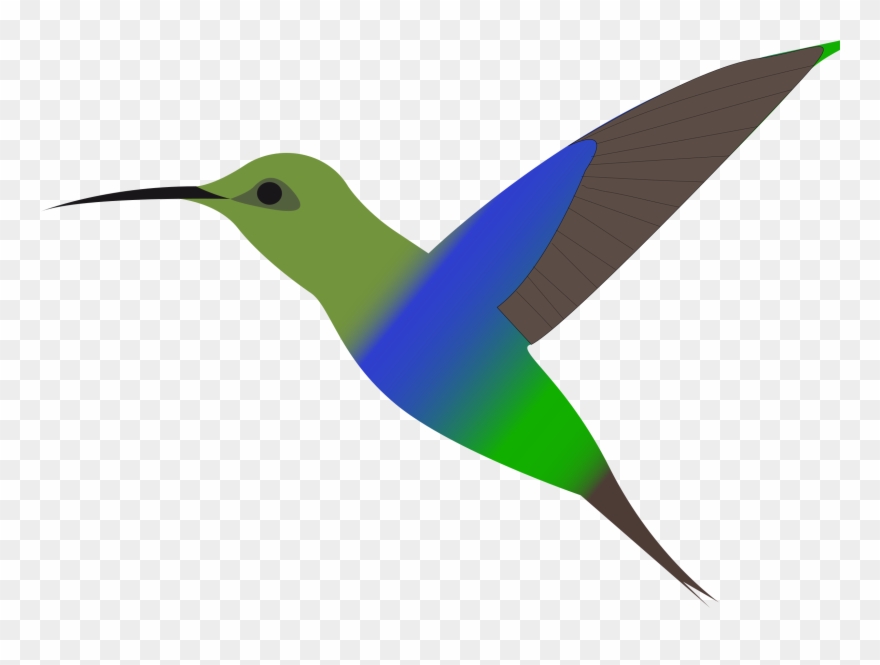Clip Art Freeuse Stock Silhouette Hummingbird At Getdrawings - Beija Flor Colorido Em Desenho - Png Download