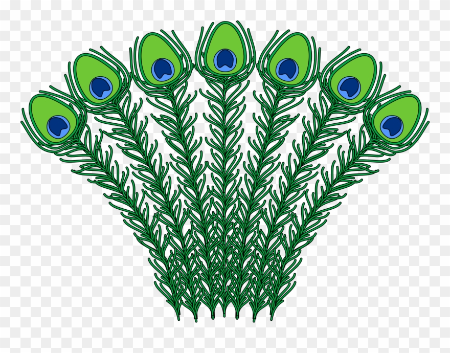File Heraldic Peacock Feathers Svg Wikimedia Commons - Peacock Feather Coat Of Arms Clipart