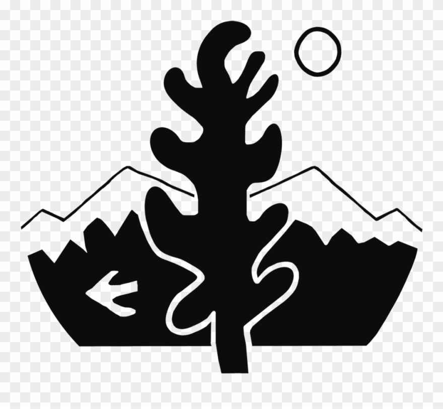 Nelson And New Zealand Wedding Photographer Nelson Clipart