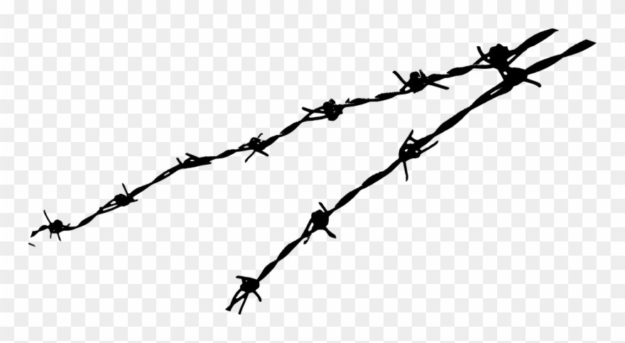 Hungary And Poland's Anti-democratic Turn - Barbed Wire Png Clipart