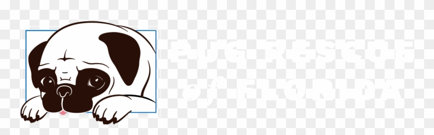 Pug Rescue Of Florida, - Florida Clipart