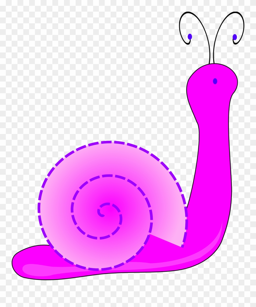 Sea Snail Download Slug - Snail Clip Art - Png Download
