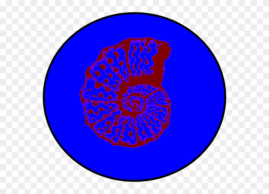 Circle Clipart