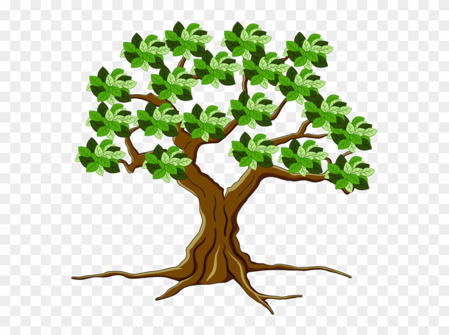 Trees ‿✿⁀°••○ - Tree Clipart