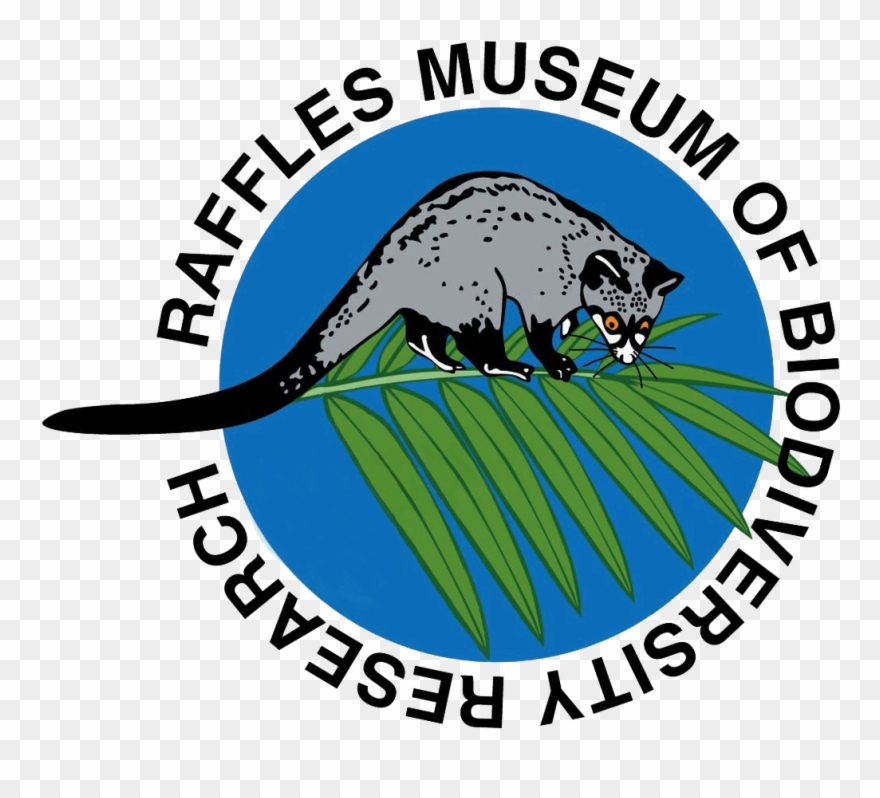 Force Office Of Scientific Research - Possum Clipart