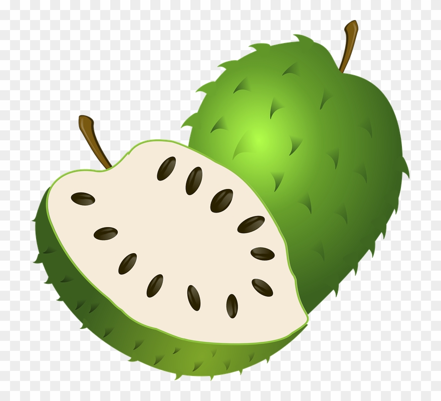 How To Treat Heart Disease Naturally - Guanabana Clipart - Png Download