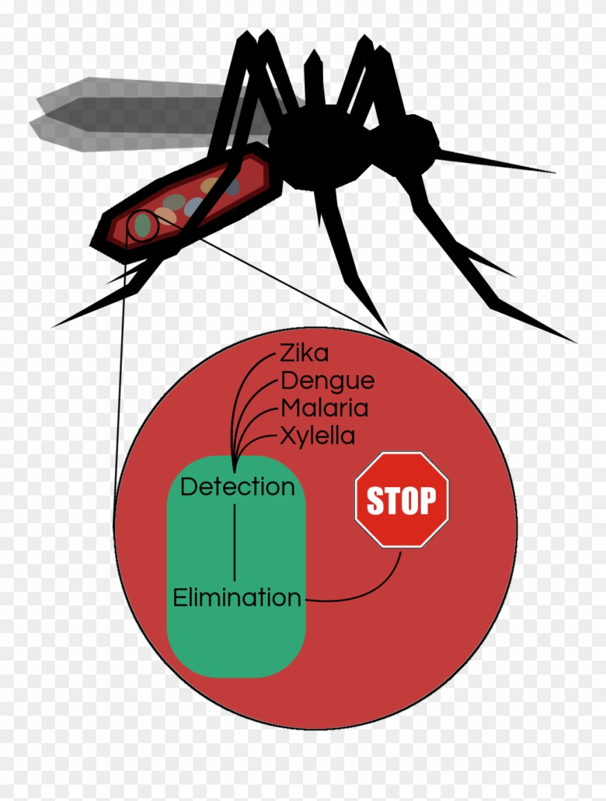 Disease Clipart Dengue Fever - Bottled Water Free Day - Png Download