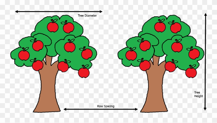Uk Diseases Of Fruit - Apple Tree Clipart - Png Download