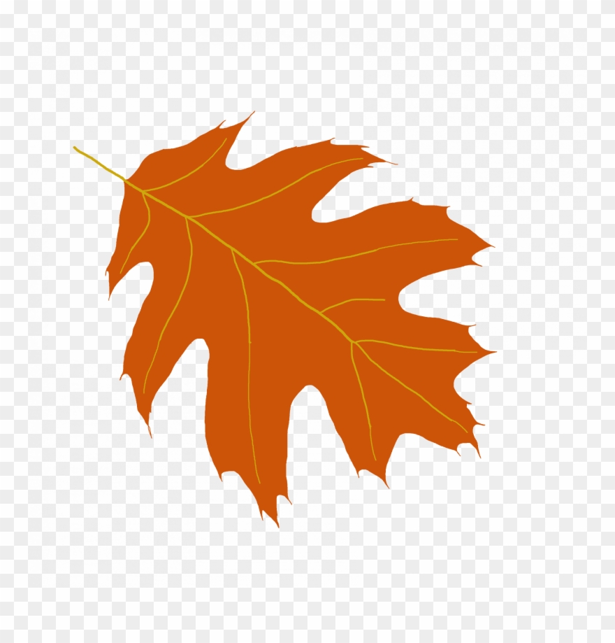 Picture Of Oak Leaves Clipartsco, Yellow Oak Leaf Clip - Oak - Png Download