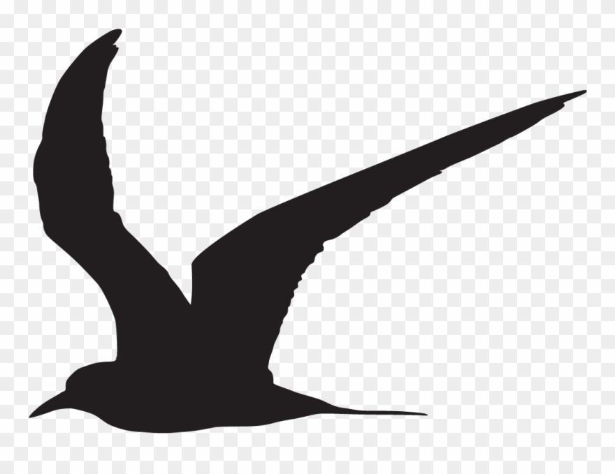 Sandwich Tern - Common Tern Silhouette Clipart