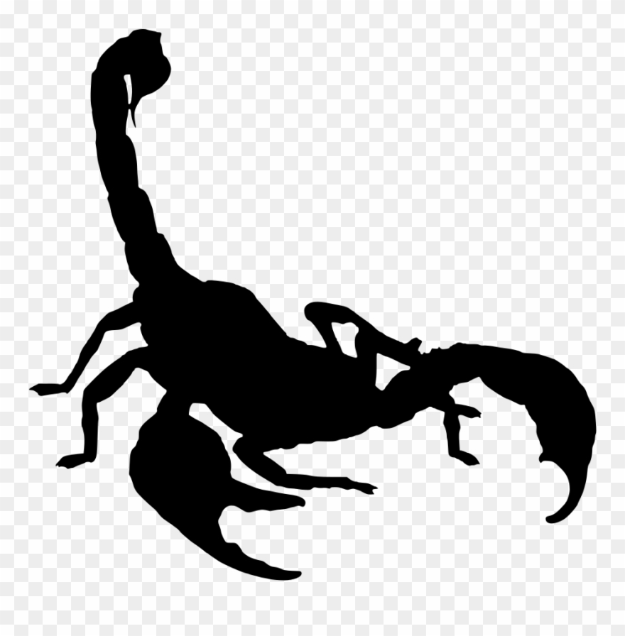 Scorpion Drawing Arachnid - Scorpion Silhouette Png Clipart