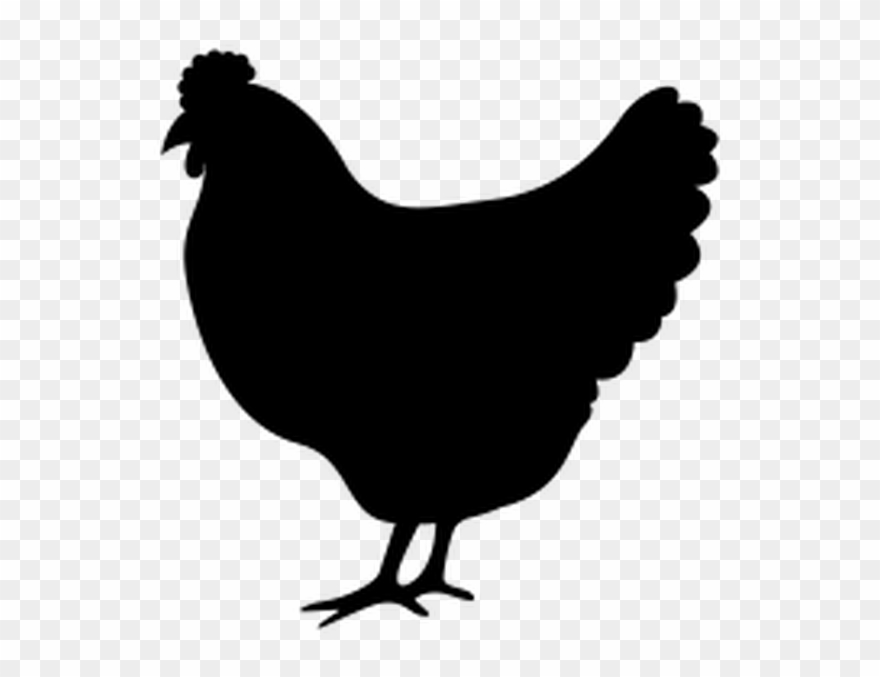 Chicken Icon Clipart