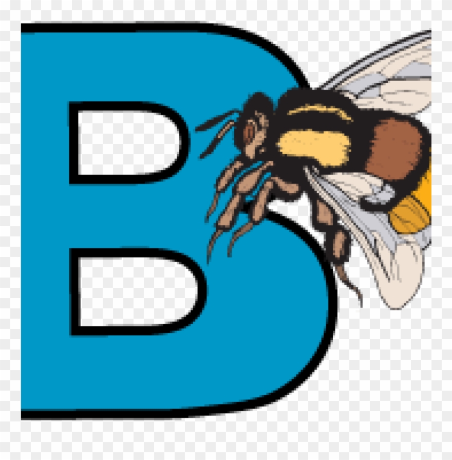 Abc Clip Art School Clipart Hatenylo - Clip Art - Png Download