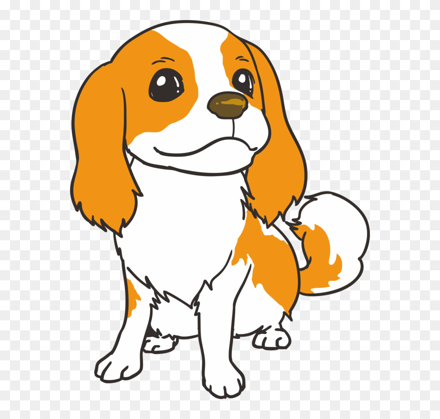 All Photo Png Clipart - キャバリア キング チャールズ スパニエル イラスト Transparent Png