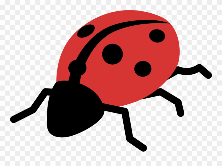 All Photo Png Clipart - Ladybird Cartoon Transparent Png