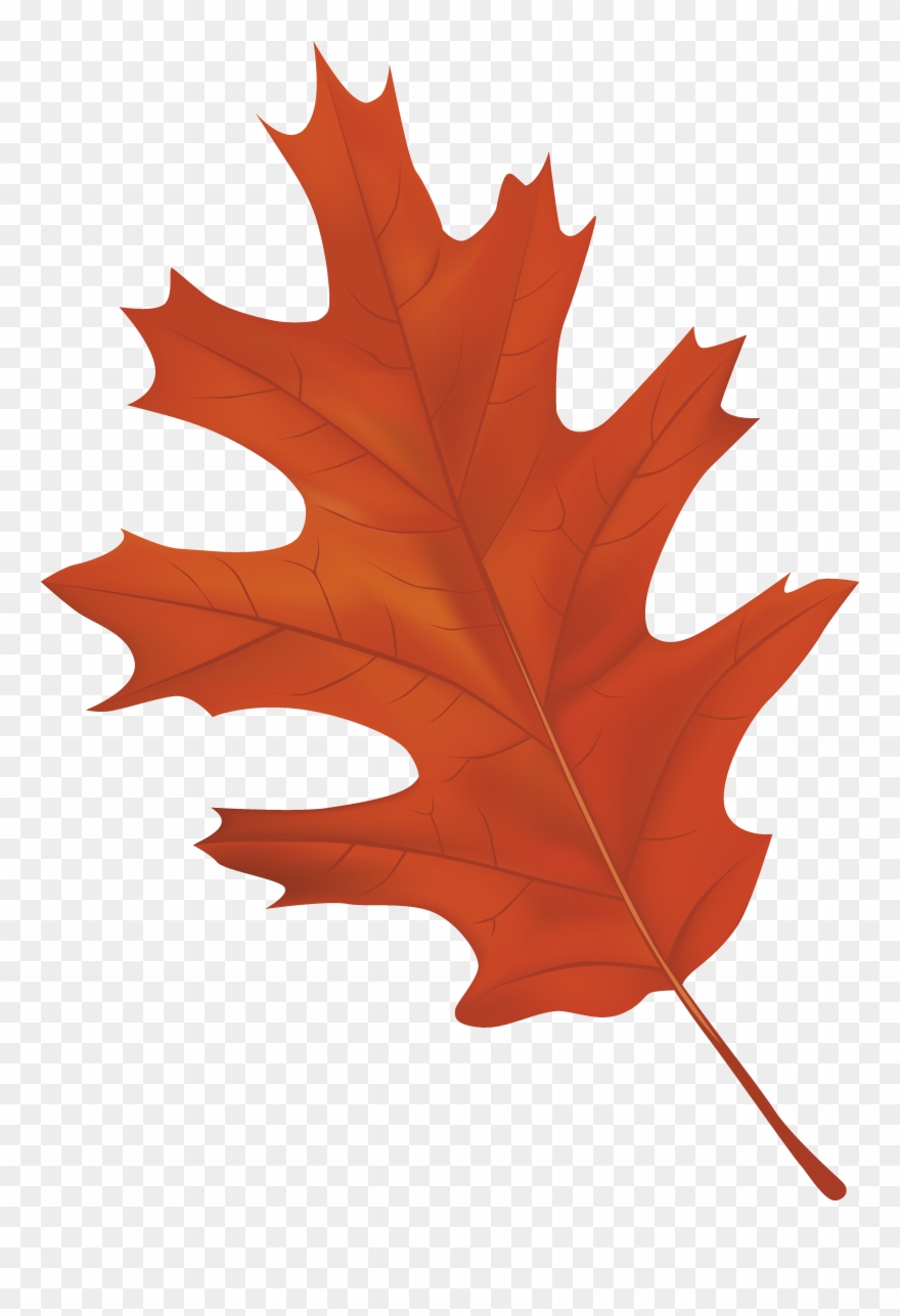 Svg Free Autumn Leaf Clipart Free - Autumn Leaf Clipart Png Transparent Png