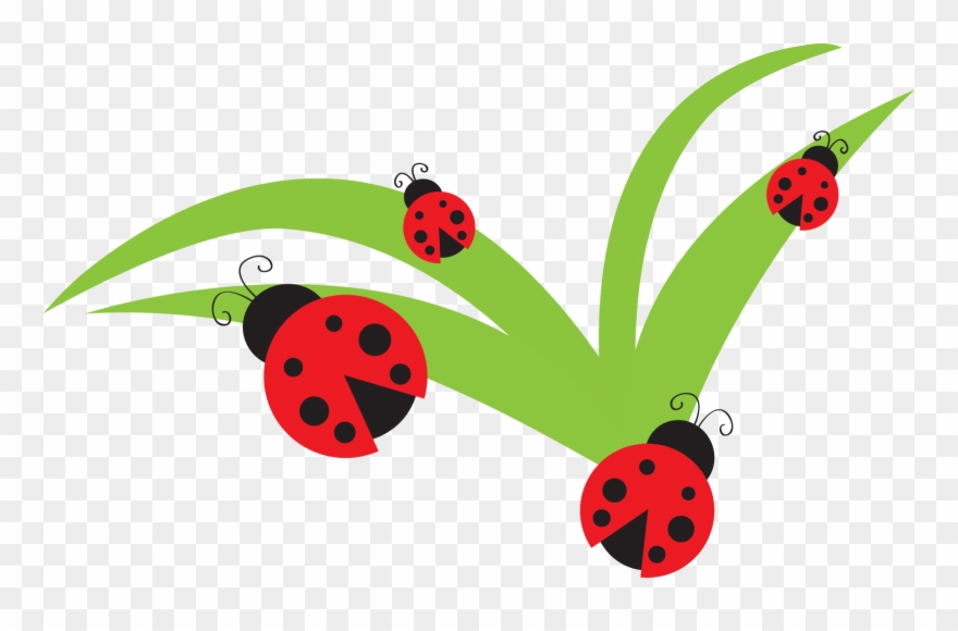Ladybug Lady Bug Clip Art Bug Flower Leaf Branch Clipart - Ladybug And Flower Clipart - Png Download