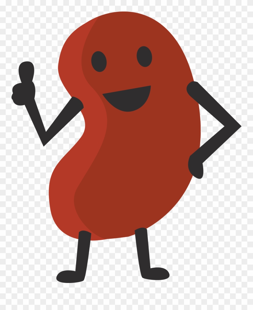 Keeping - Cartoon Kidney Bean Clipart