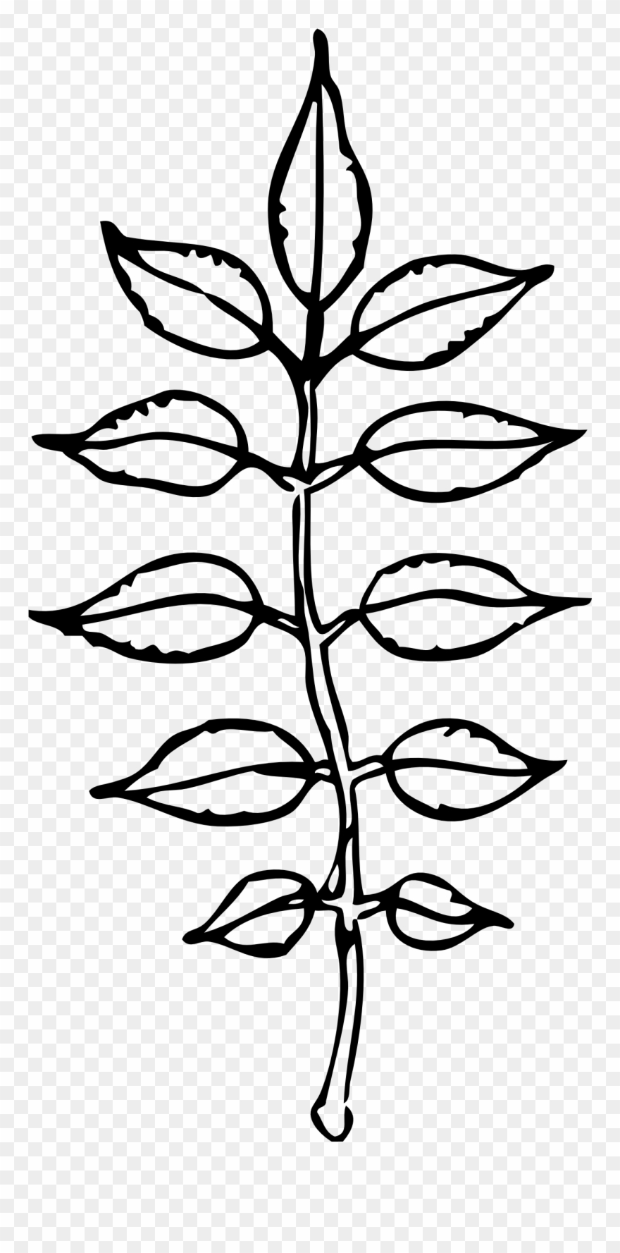 Leaves Black And White Pile Leaves Clip Art Black And - Clip Art - Png Download