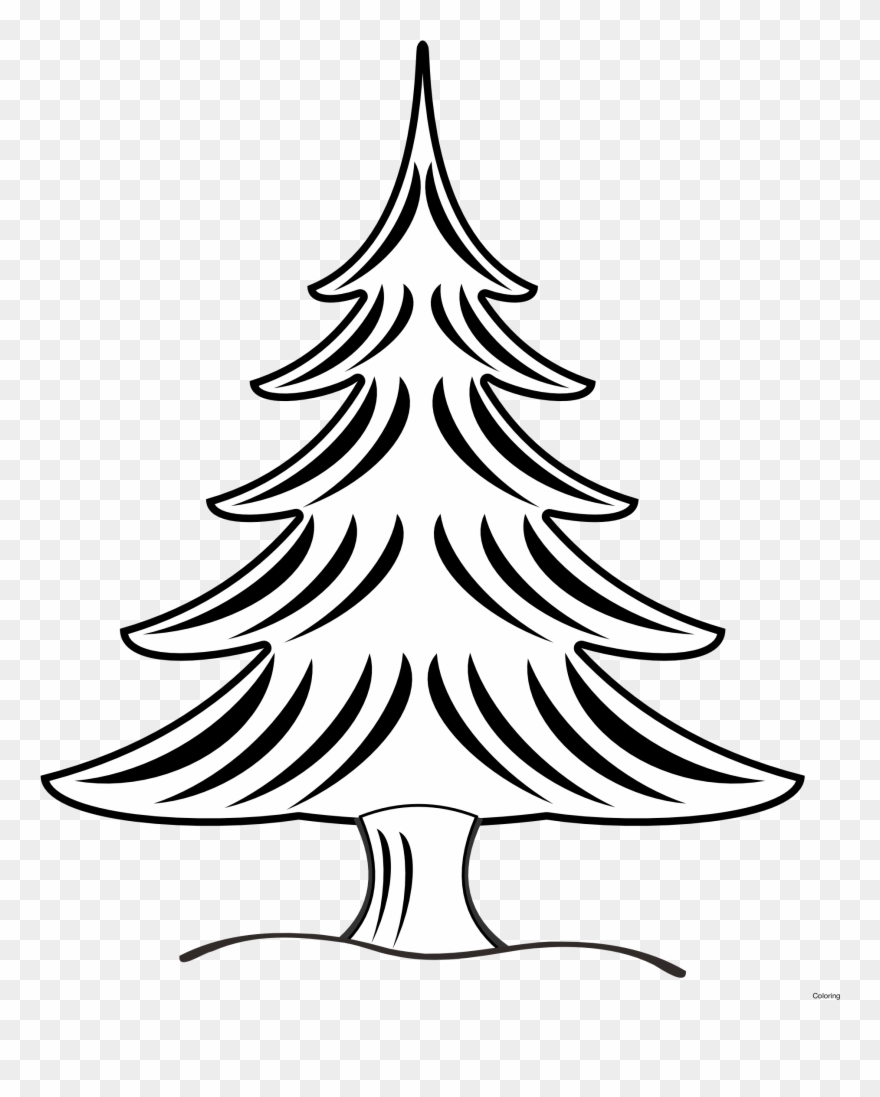 Drawn Christmas Tree Art Nouveau - Vector Art Black And White Christmas Tree Clipart