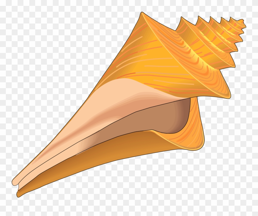 Seashell Clip Art - Clip Art Shells Free - Png Download