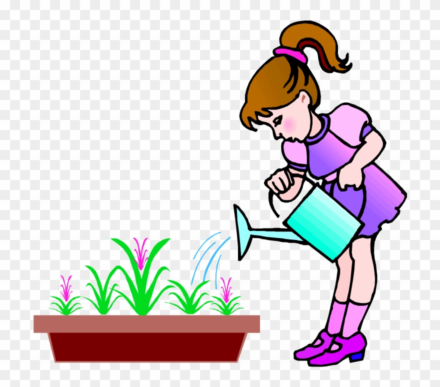 Plants Clipart Child - Girl Watering The Flower Cartoon - Png Download