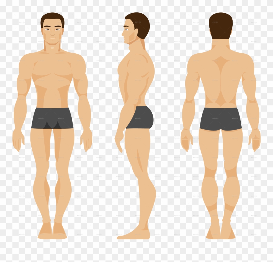 Male By Artbesouro Graphicriver - Man Front Rear Clipart