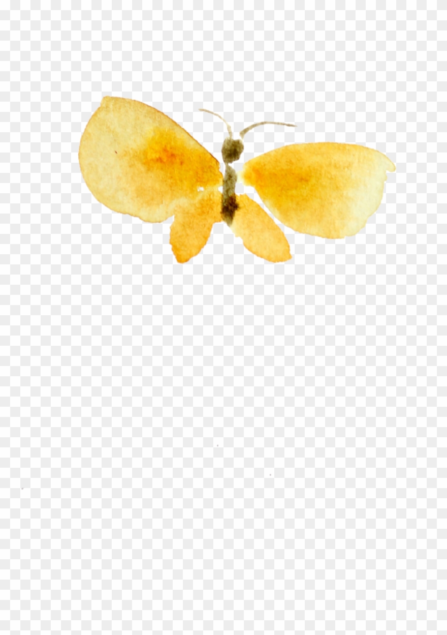 Free May Desktop Calendar And Watercolor Clipart - Insect - Png Download