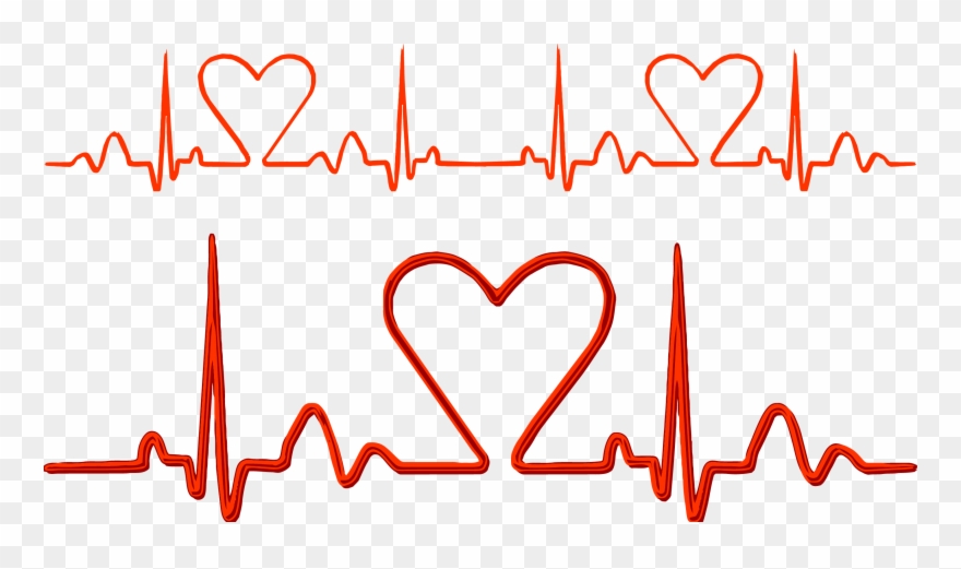 Jpg Freeuse Pulse Electrocardiography Heart Rate - Nhịp Tim Vector Clipart
