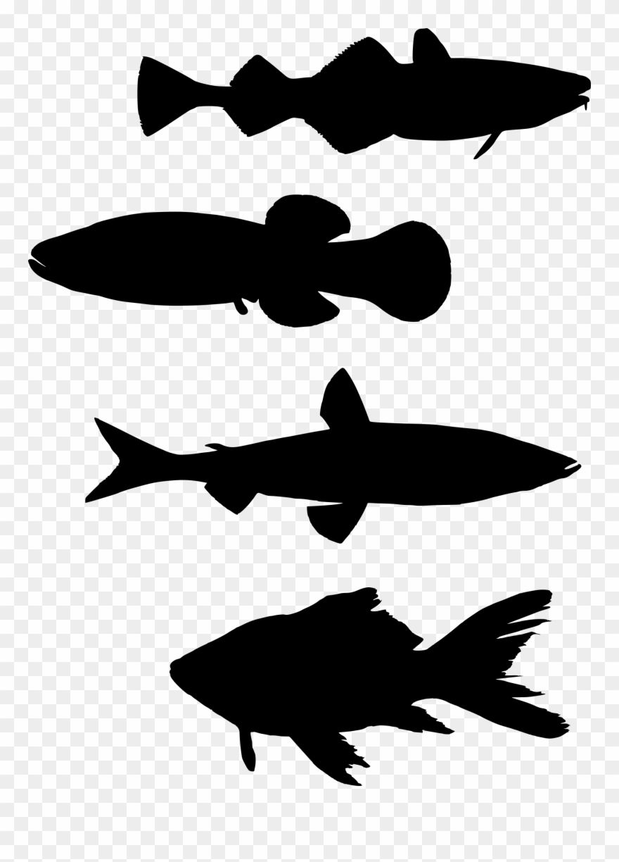 Clipart - School Of Fish Silhouette Png Transparent Png