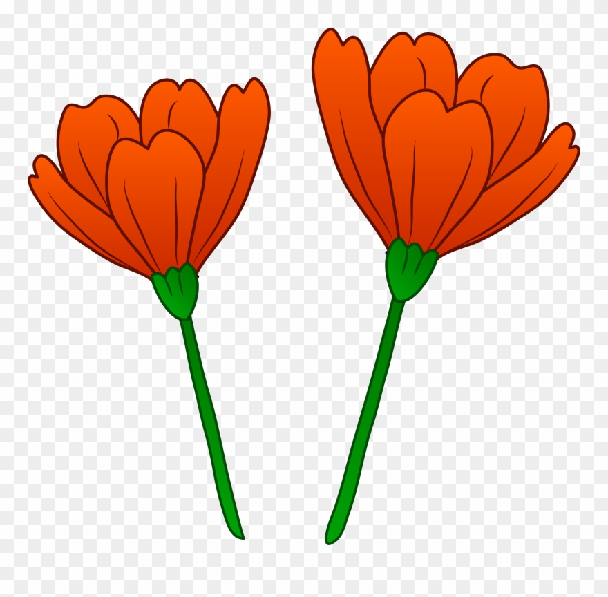 Remembrance Day Poppy Clipart - 2 Flowers Clipart - Png Download