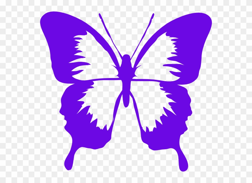 Small - Black And White Butterfly Silhouette Clipart