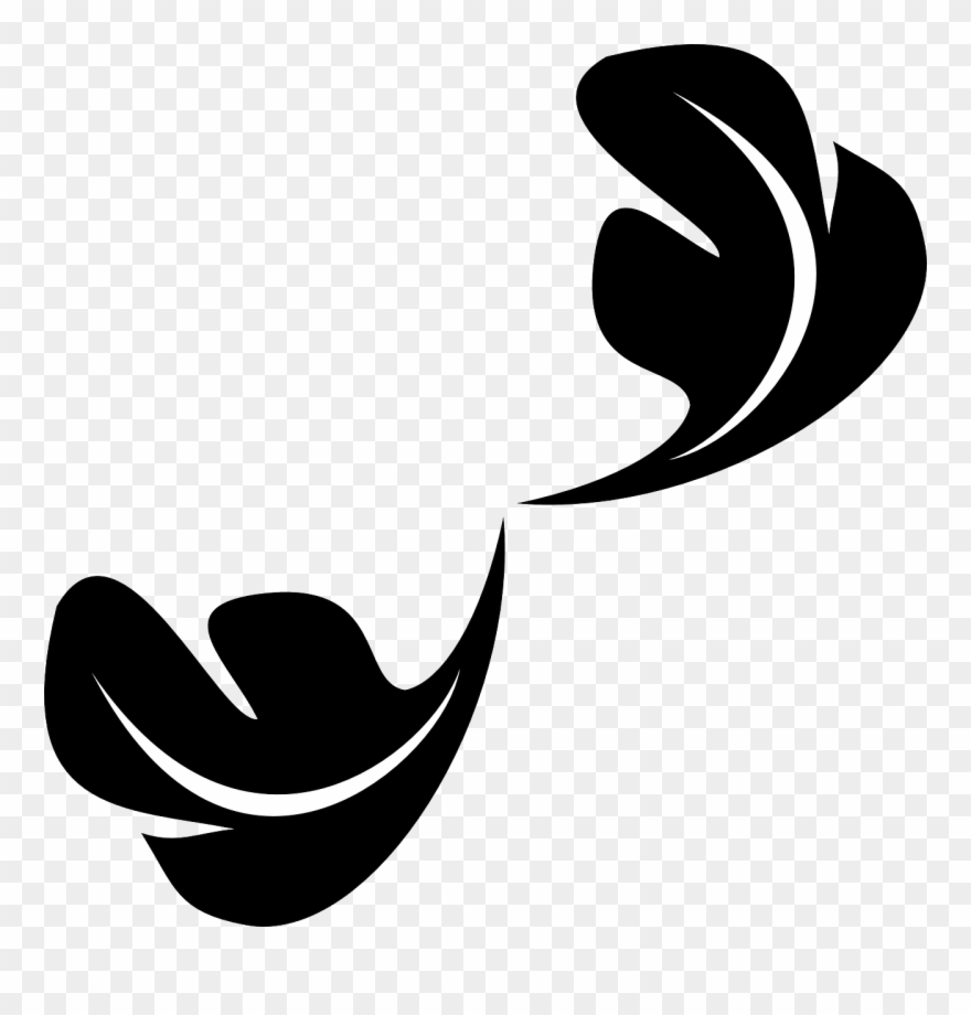 Feather Flying Soft Transparent Image Pinterest - Ornament Leaf Clipart