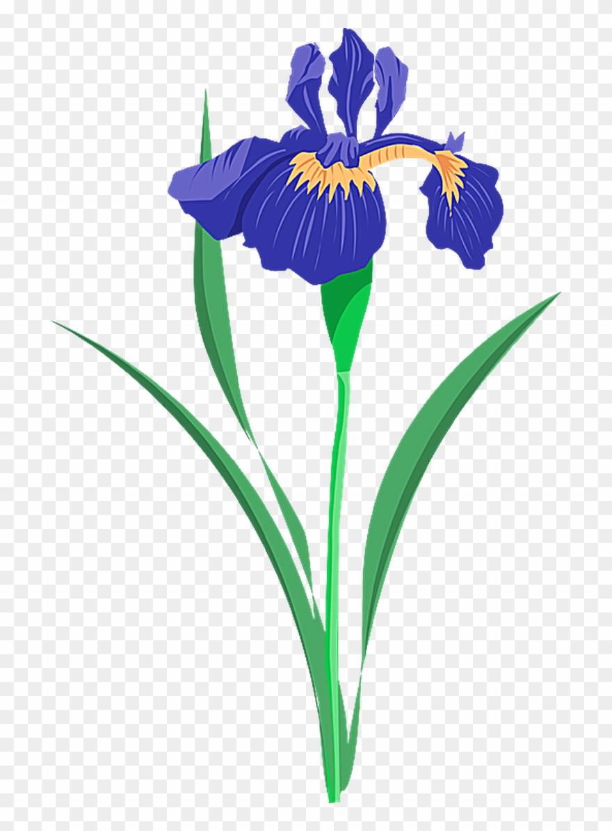 Grab This Free Summer Flower Clip Art - Iris Flower Vector Free - Png Download