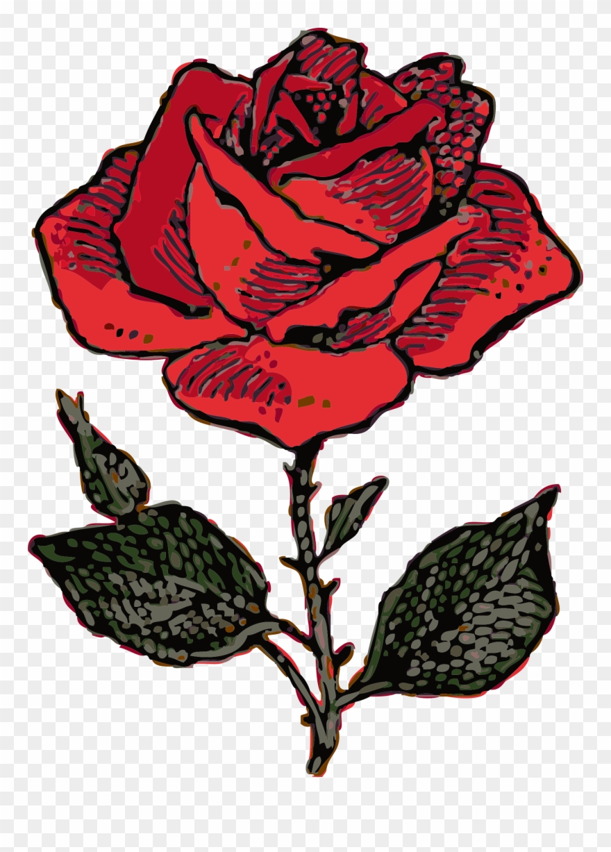 Rose Clip Art Free Clipart Images - Coat Of Arms Rose - Png Download