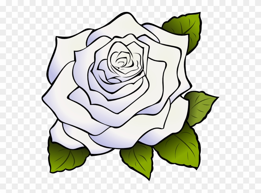 Download White Rose Png Clipart Clip Art Drawing Flower - White Rose Clip Art Transparent Png