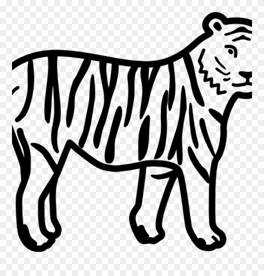 Tiger Clipart Black And White Tiger Clip Art Black - Dibujo Tigre De Bengala - Png Download