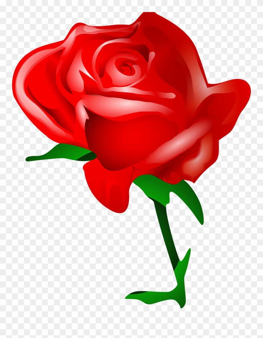 Clipart Without Downloading Clipart Collection - Rose Download - Png Download