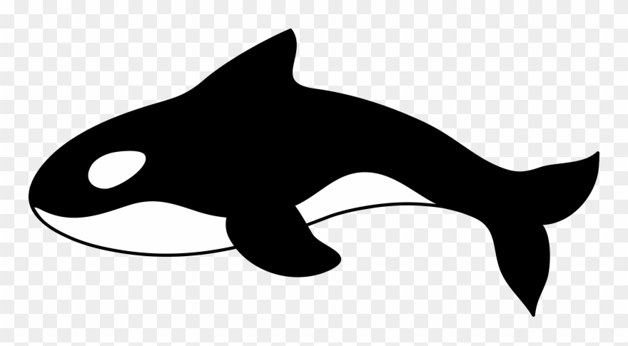 Orca Clip Art - Png Download