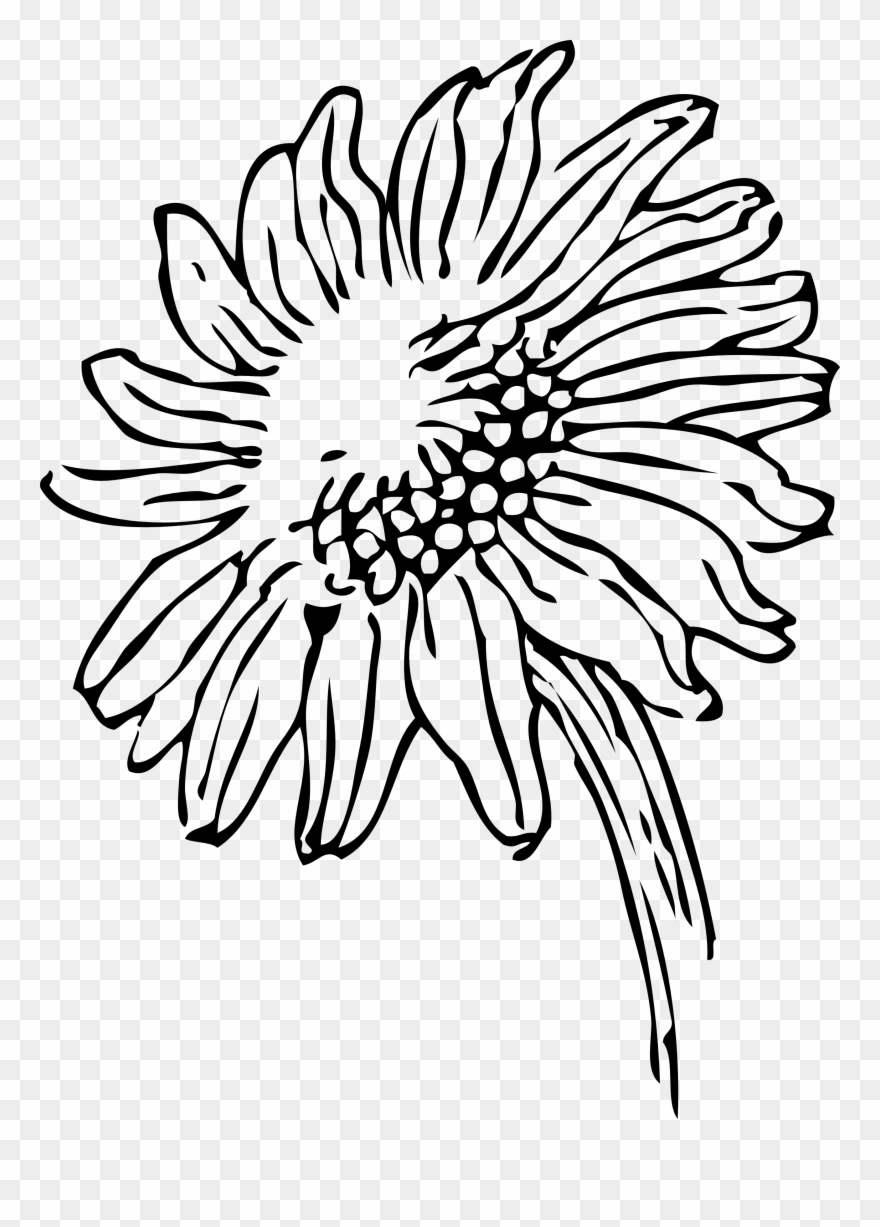 Black And White Sunflower Clipart - Sunflower Clipart Black And White Transparent - Png Download
