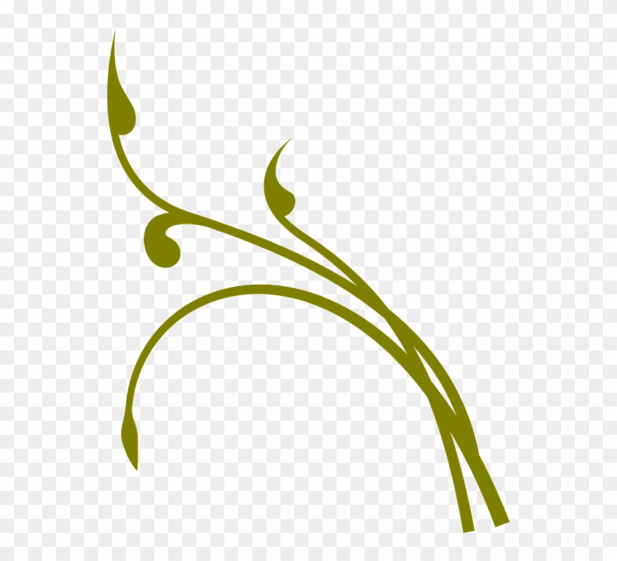 Flourish Clipart Vine - Vector Vines - Png Download